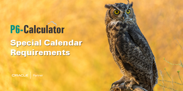 P6-Calculator - Special Calendar Requirements - Watch Now